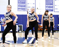 WHS_dt_006