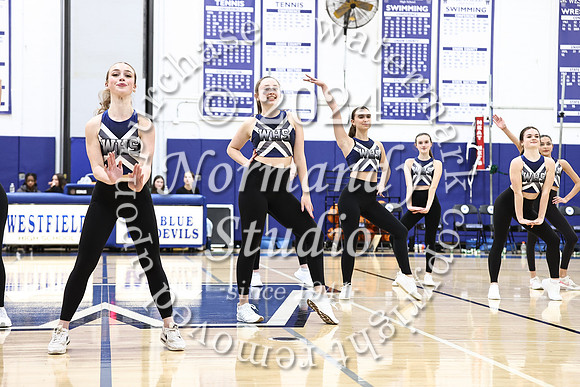 WHS_dt_023