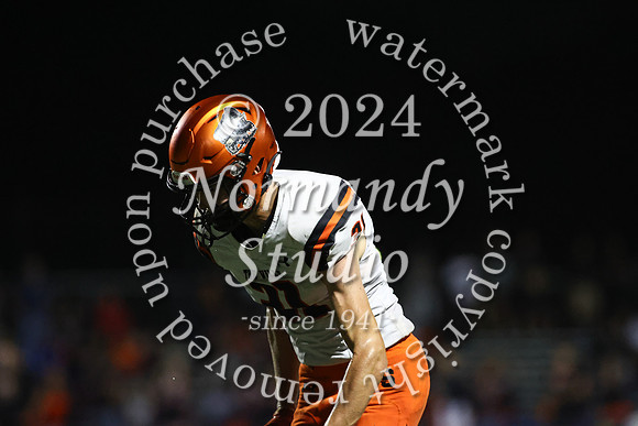 SVL_fb_39