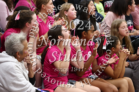WHS_vb-pink out_73