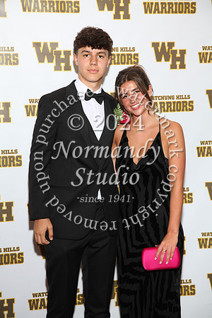 WTG_sr_prom_075