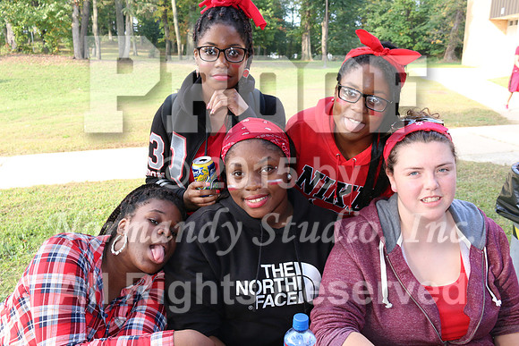 MNP_019_bbq