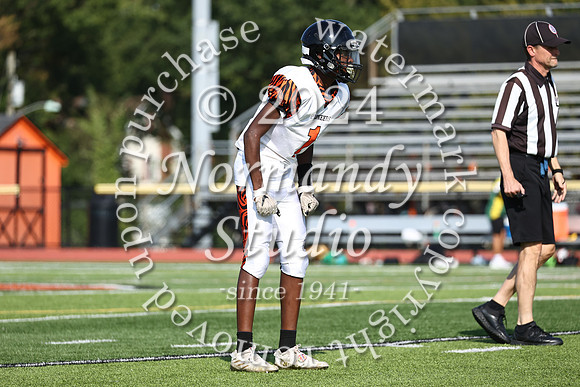 SVL_fb-f_15