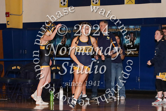 DVH_wr-g_20
