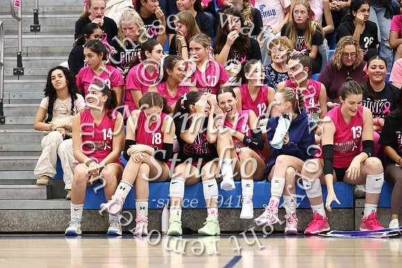 WHS_vb-pink out_34