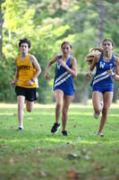 WHS_cc-g_20