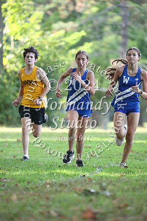 WHS_cc-g_20