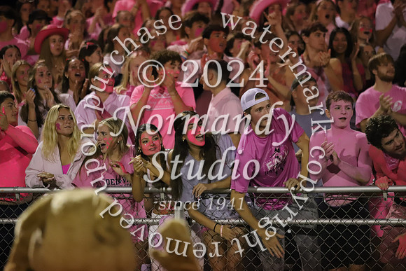 DVH_fans_53