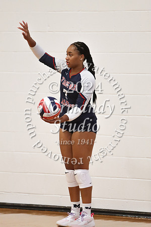 MSM_vb-g_63