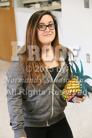 MNP_082_slc