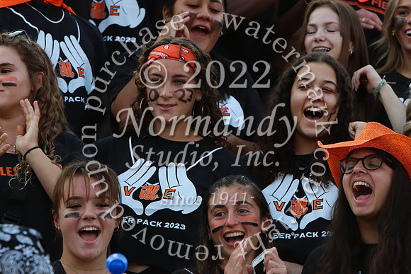 SVL_fans_15