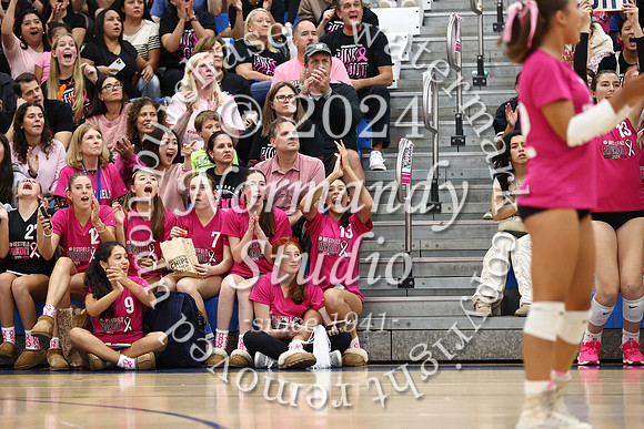 WHS_vb-pink out_58