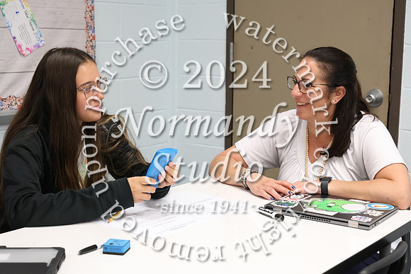 SVL_slc_029