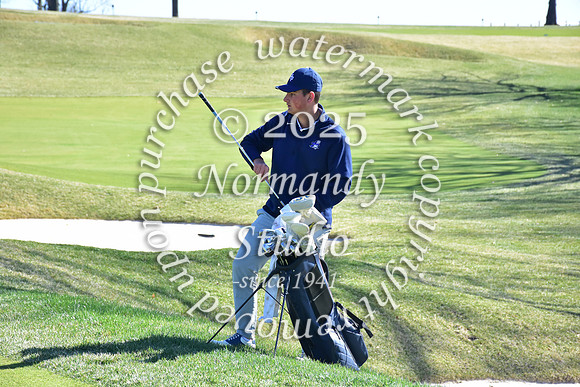 SHP_go_63