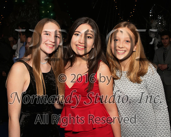 WMC_028_dnc