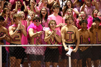 SVL_fans_17