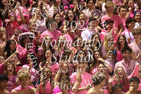 SVL_fans_28