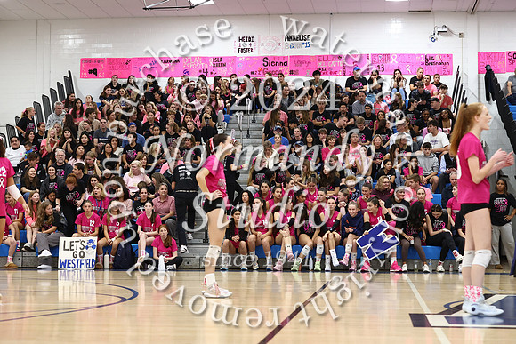 WHS_vb-pink out_44