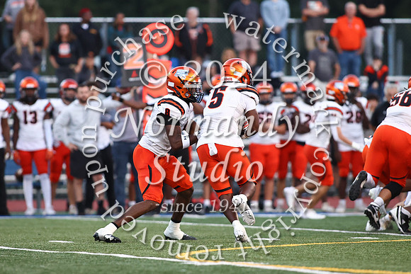 SVL_fb_70