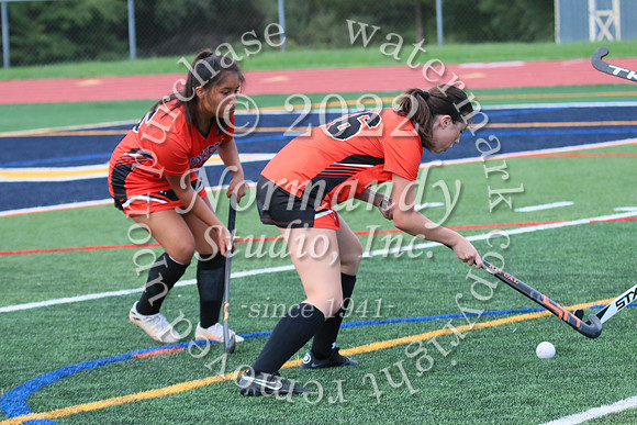SVL_fh-j_34