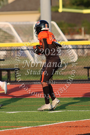 SVL_fb_25