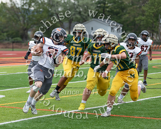 SVL_fb-j_50