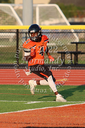 SVL_fb_30