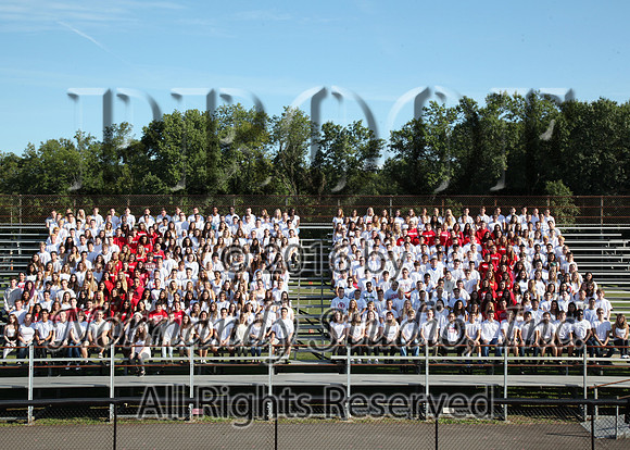 MNP_06_srg