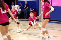 WHS_vb-pink out_10