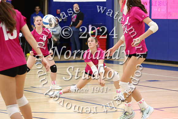 WHS_vb-pink out_10