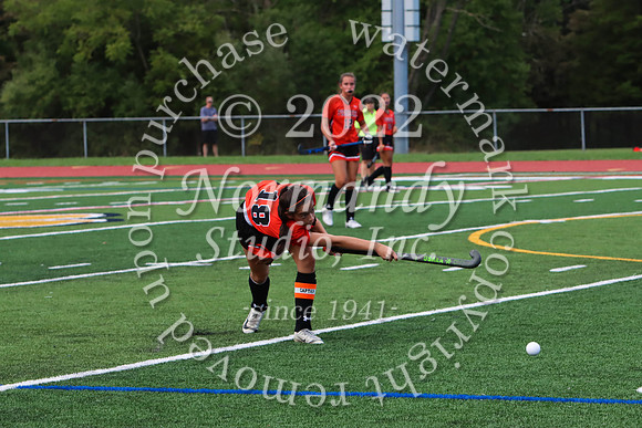 SVL_fh_47