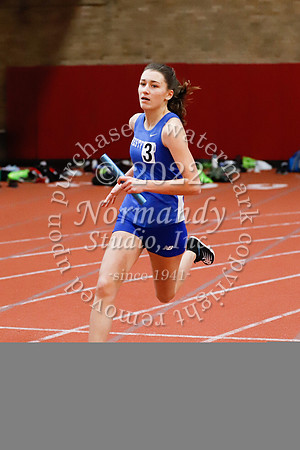 WHS_08_wt-g