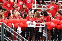 LIB_fb-fans_13