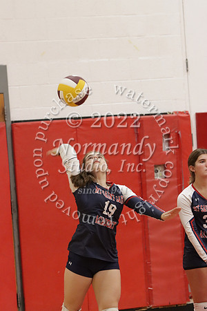 MSM_vb-g_22