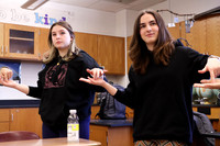 WHS_slc_17