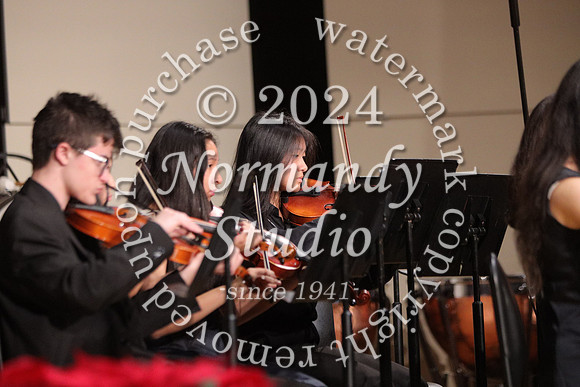 BER_orchestra_25
