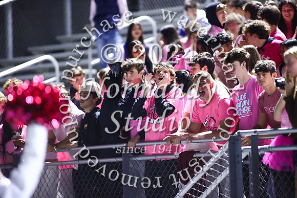 SPF_fans_53