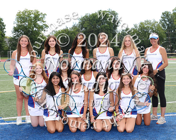 WHS_tn-g-v-t_311