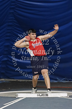 MNP_012_wt-b