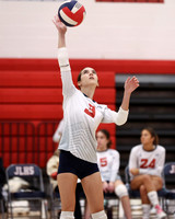 LIB_vb-g_08