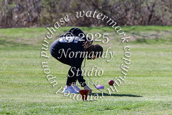 WMC_go-g_44