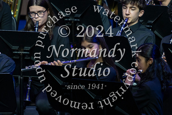 WTG_concert_35