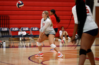 LIB_vb-g_14