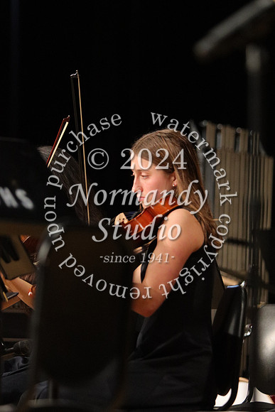 BER_orchestra_36
