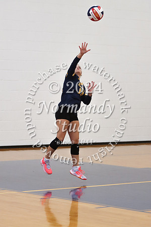 DVH_vb-g_41