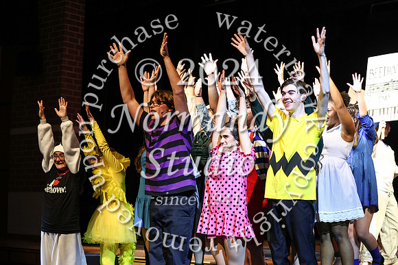 LIB_charlie brown_46