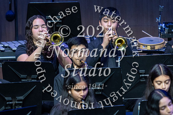 WTG_concert_20