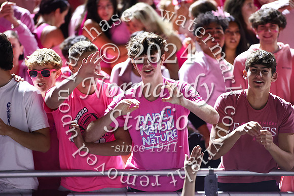 SPF_fans_62