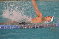 WHS_sw-b_01