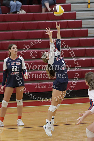 MSM_vb-g_65
